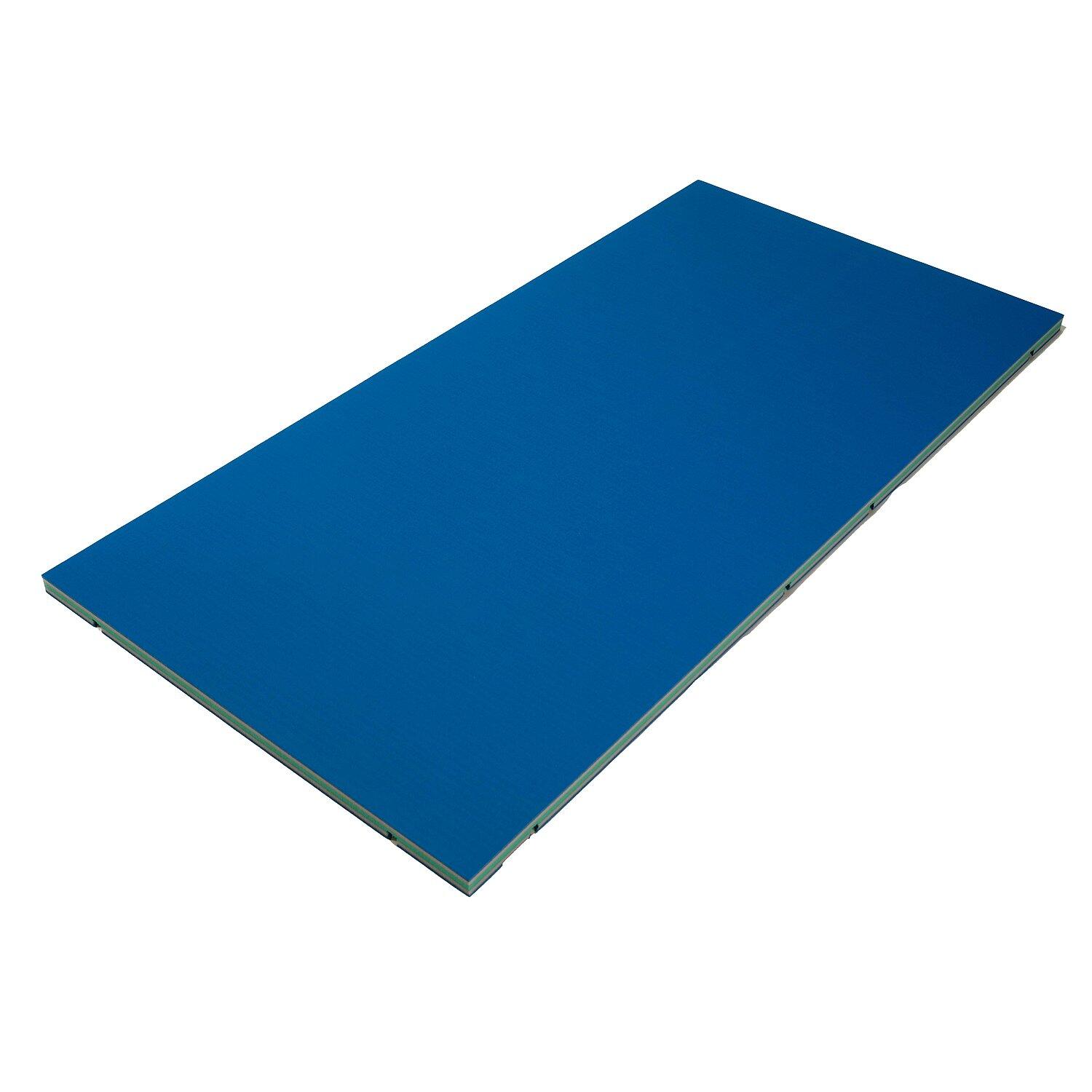 PROGAME TROCELLEN picture