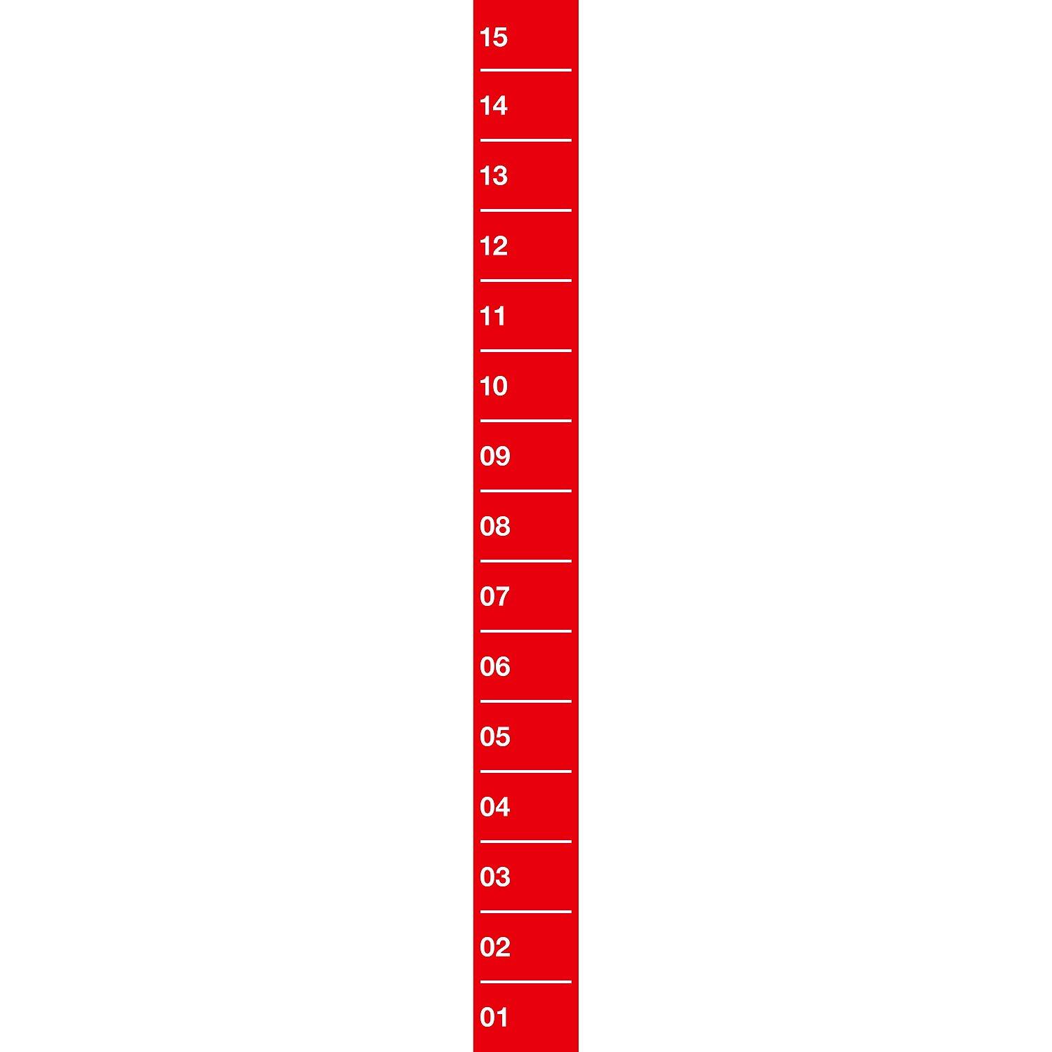 Sprintbahn Core Rot 1,5x15 m Fitness / Krafttraining Unisex Rot 2/2