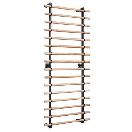 Sprossenwand XS 16 Sprossen Turnen Unisex Holz-Natur, Schwarz