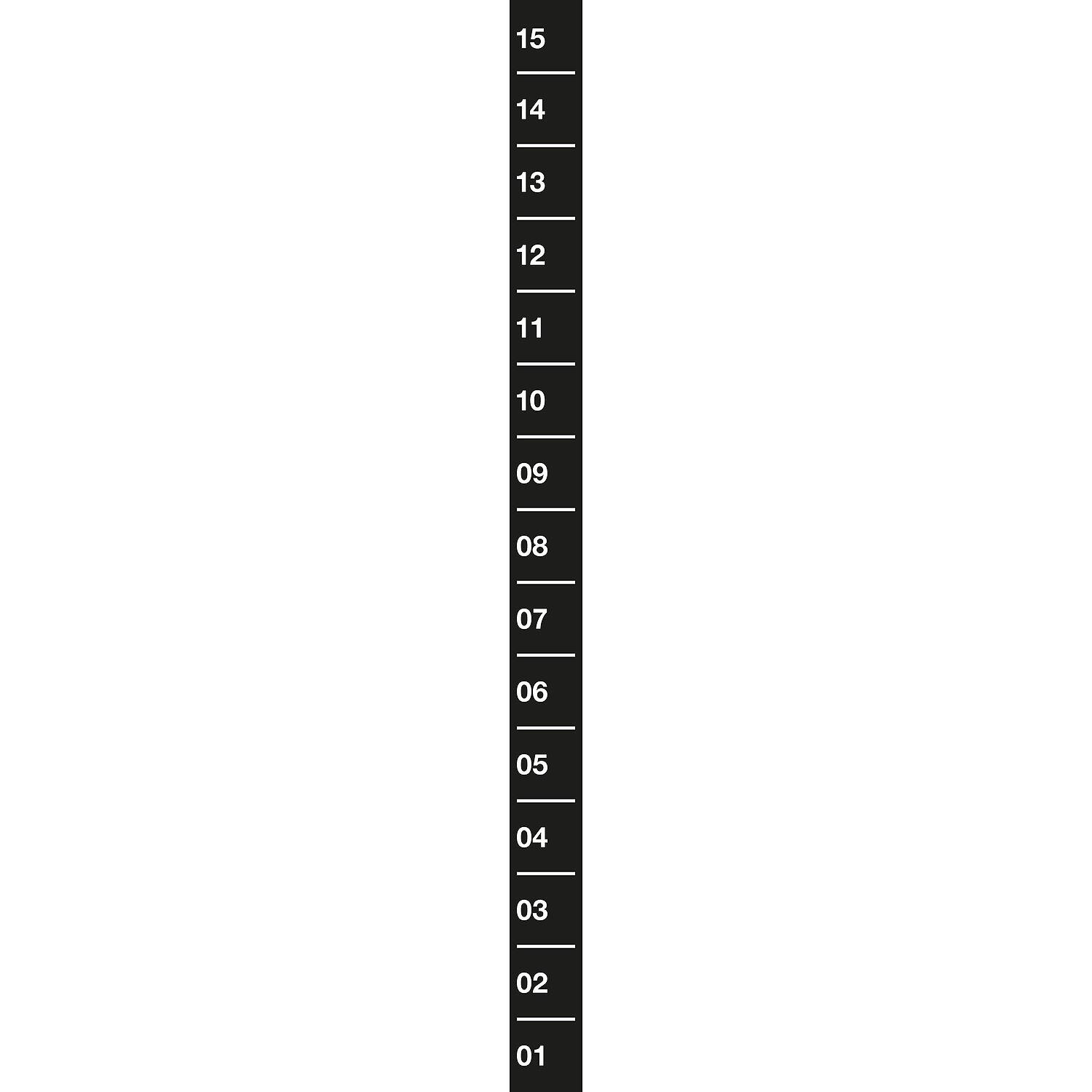 Sprintbahn Core Schwarz 1x15 m Fitness / Krafttraining Unisex Schwarz 2/2