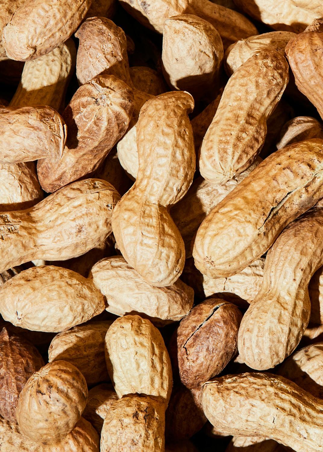 KoRo – arachidi con guscio bio 1 kg – tostate – al naturale – qualità biologica 3/7