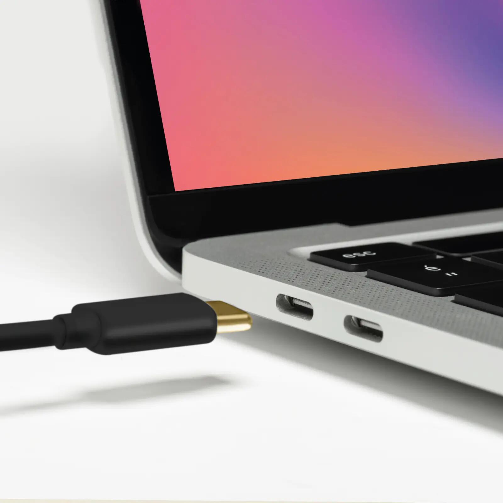 Câble USB-C vers HDMI de 1,5 m 3/3