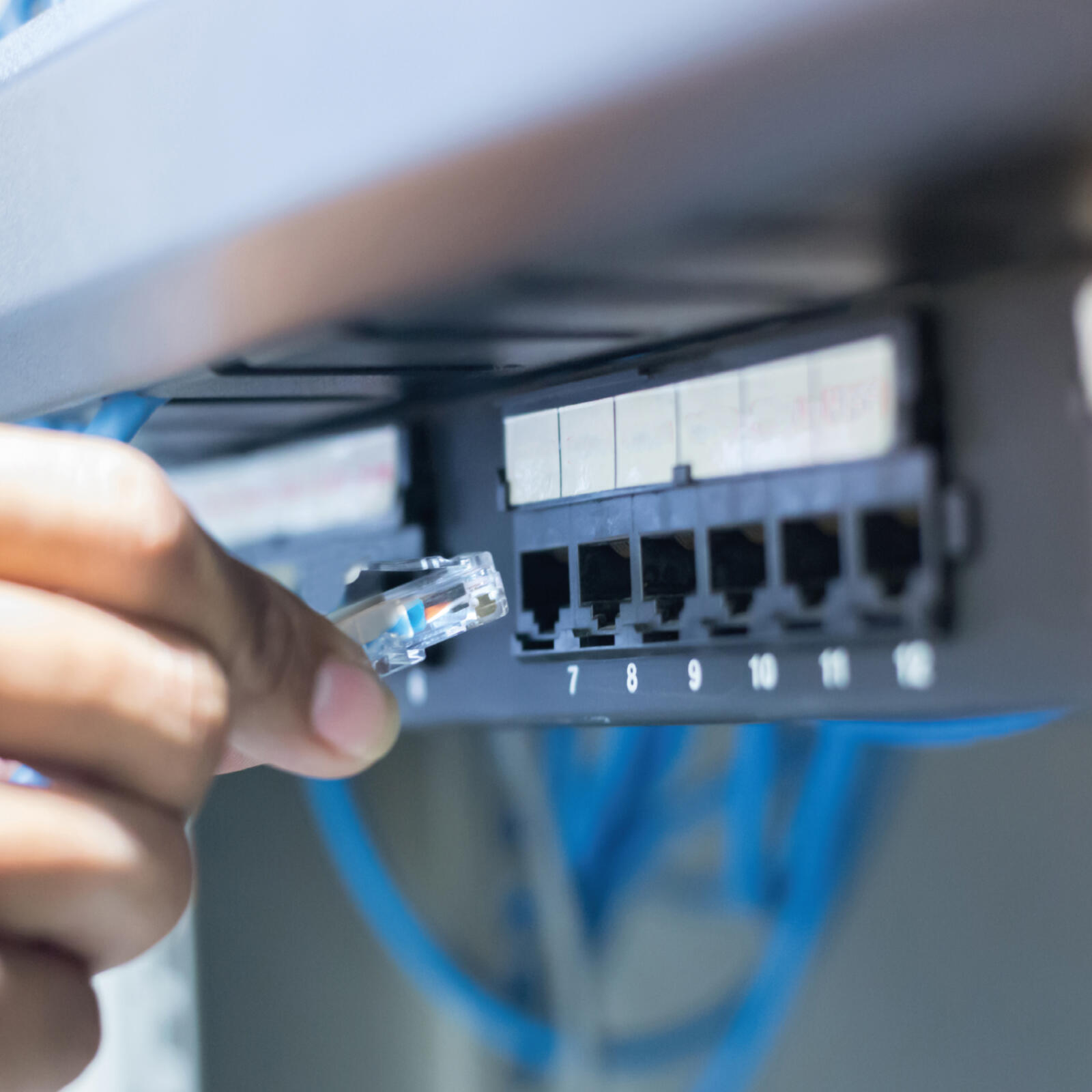 Cavo di rete cat 6 2/3