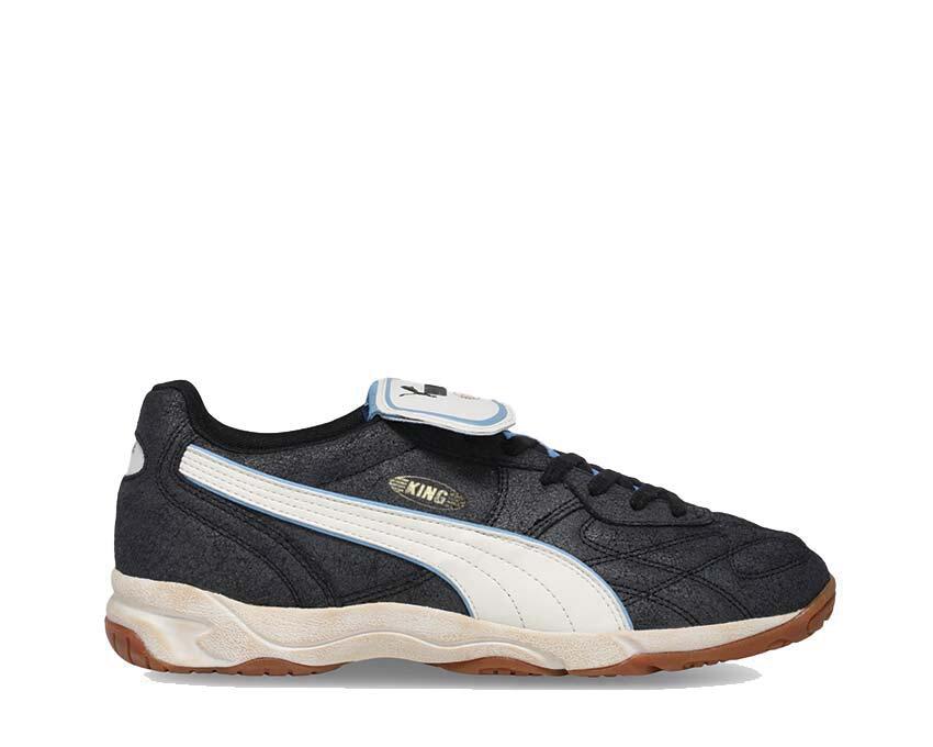 PUMA picture