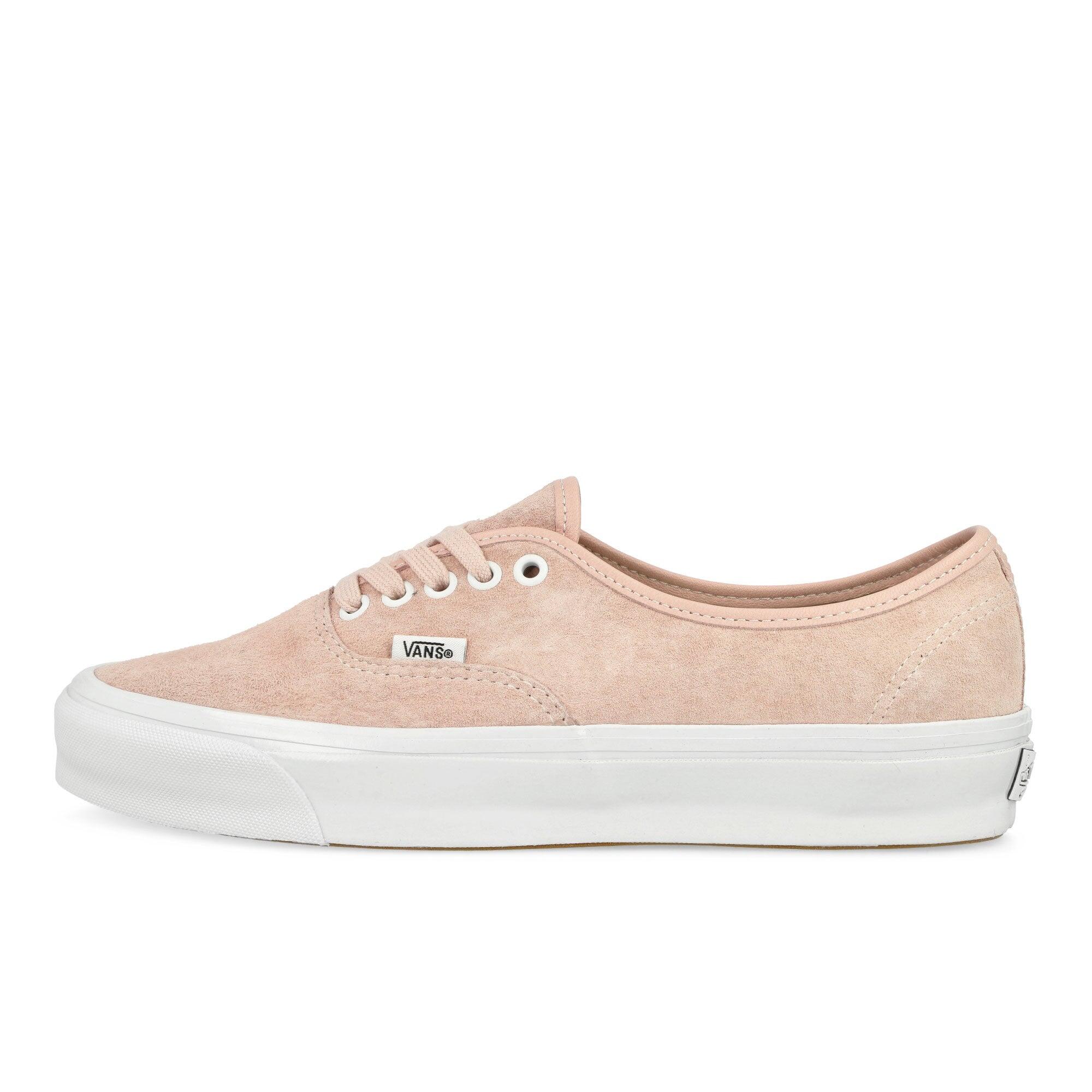 VANS picture