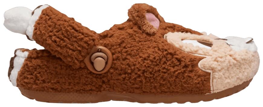 CROCS picture