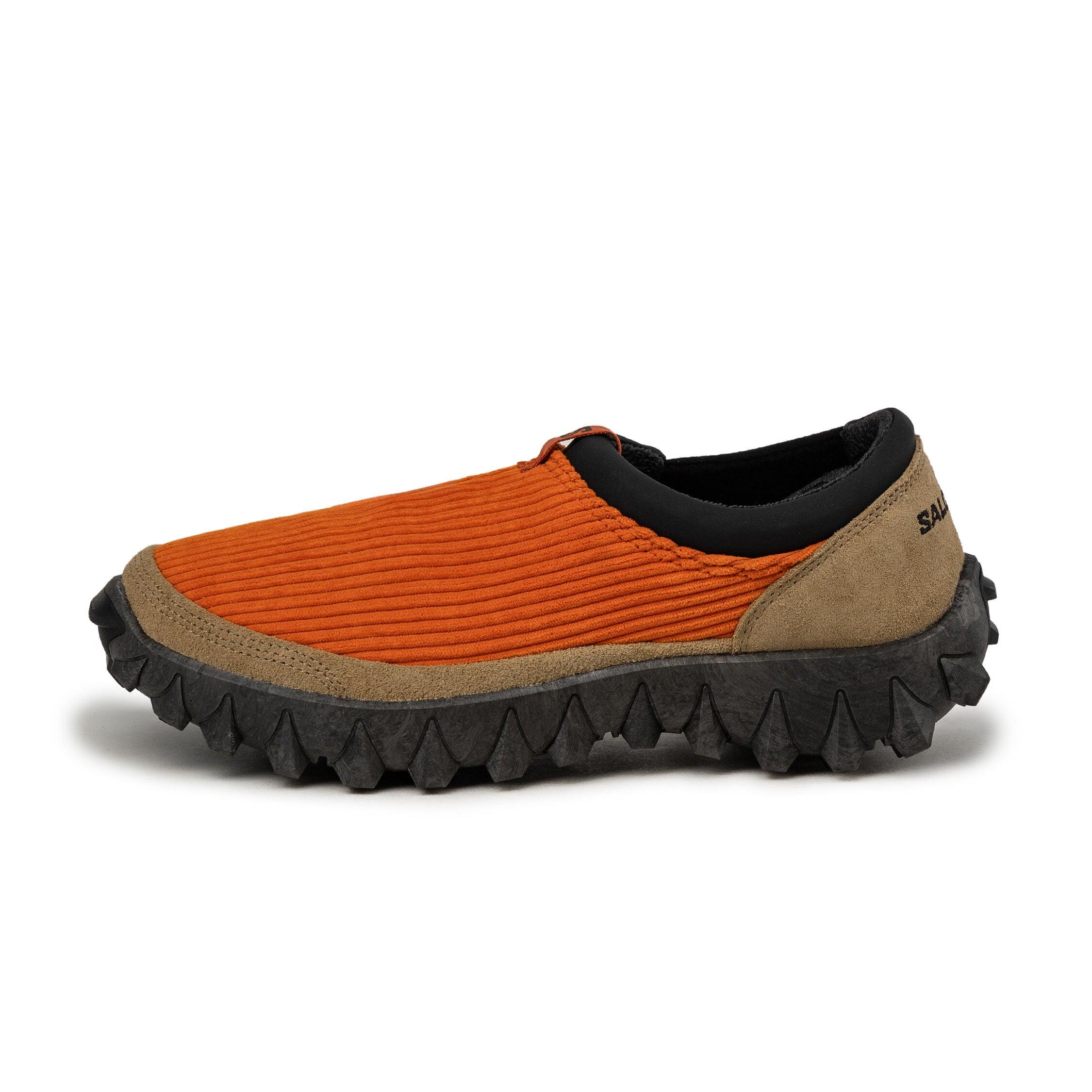 SALOMON picture