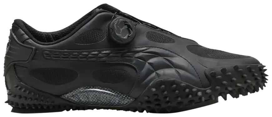 PUMA picture