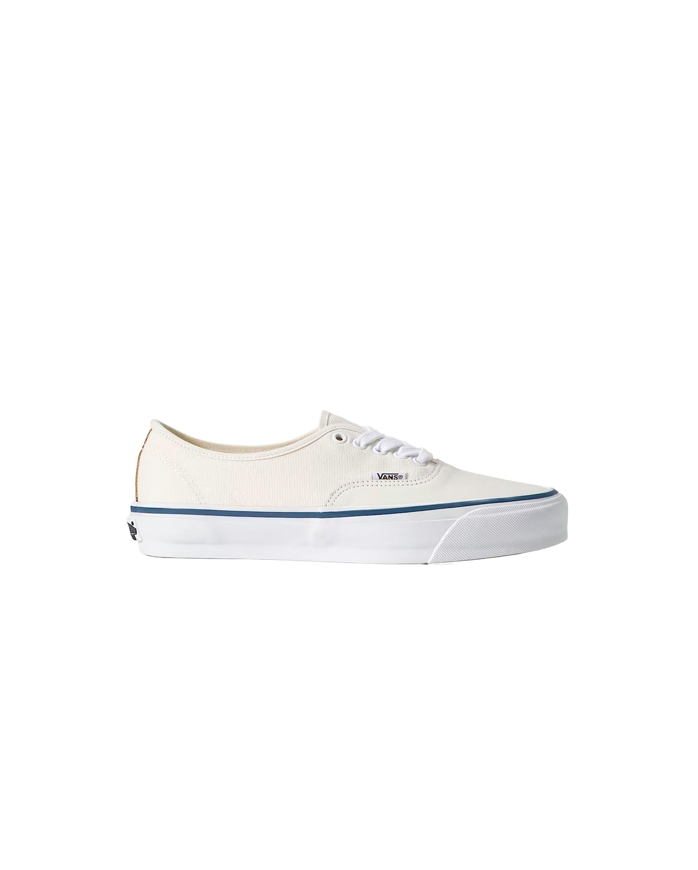 VANS picture