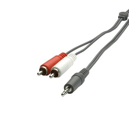 Audiokabel met 3,5 mm jack-aansluiting en 2 RCA-stekkers.