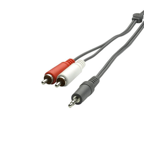 Audiokabel met 3,5 mm jack-aansluiting en 2 RCA-stekkers.