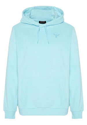 Kapuzensweatshirt mit großem Logo-Rückenprint