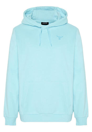 Kapuzensweatshirt mit großem Logo-Rückenprint