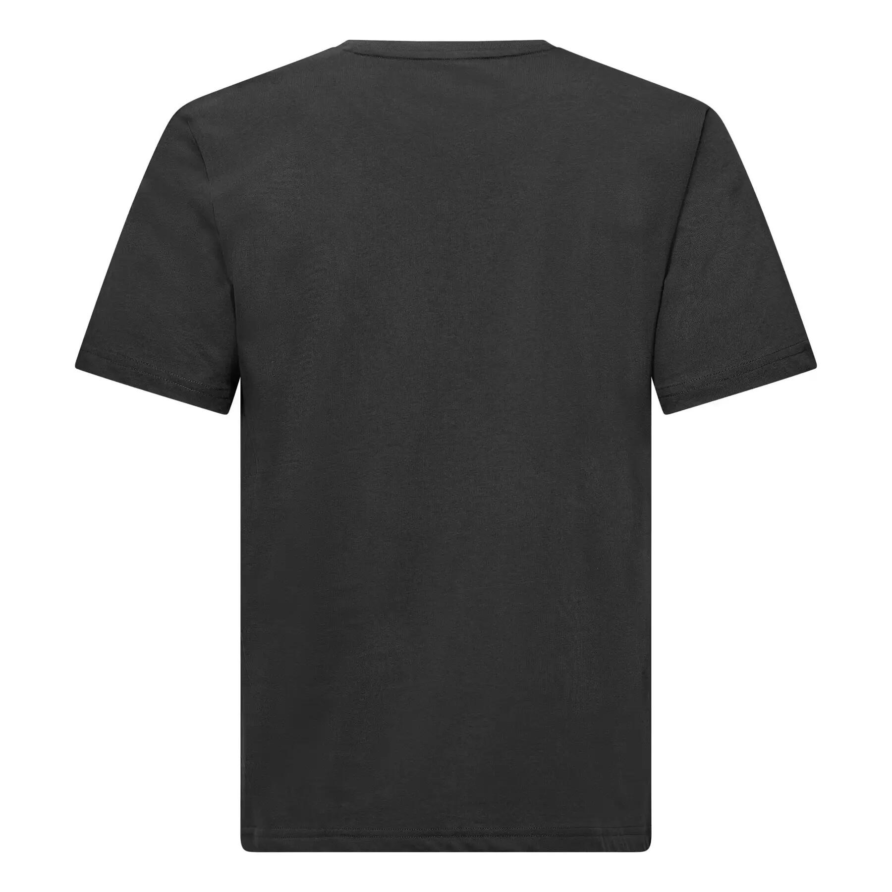 T-shirt Salewa Eagle Geometric 2/2