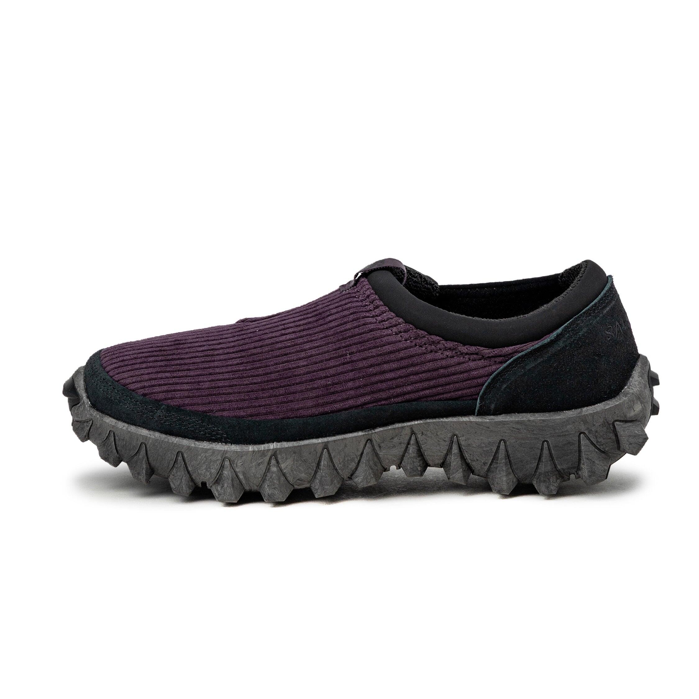 SALOMON picture