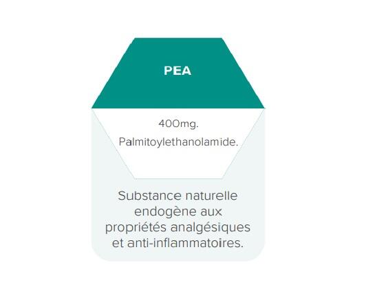 Pea Antidolor 30 Gélules SportDone 3/3
