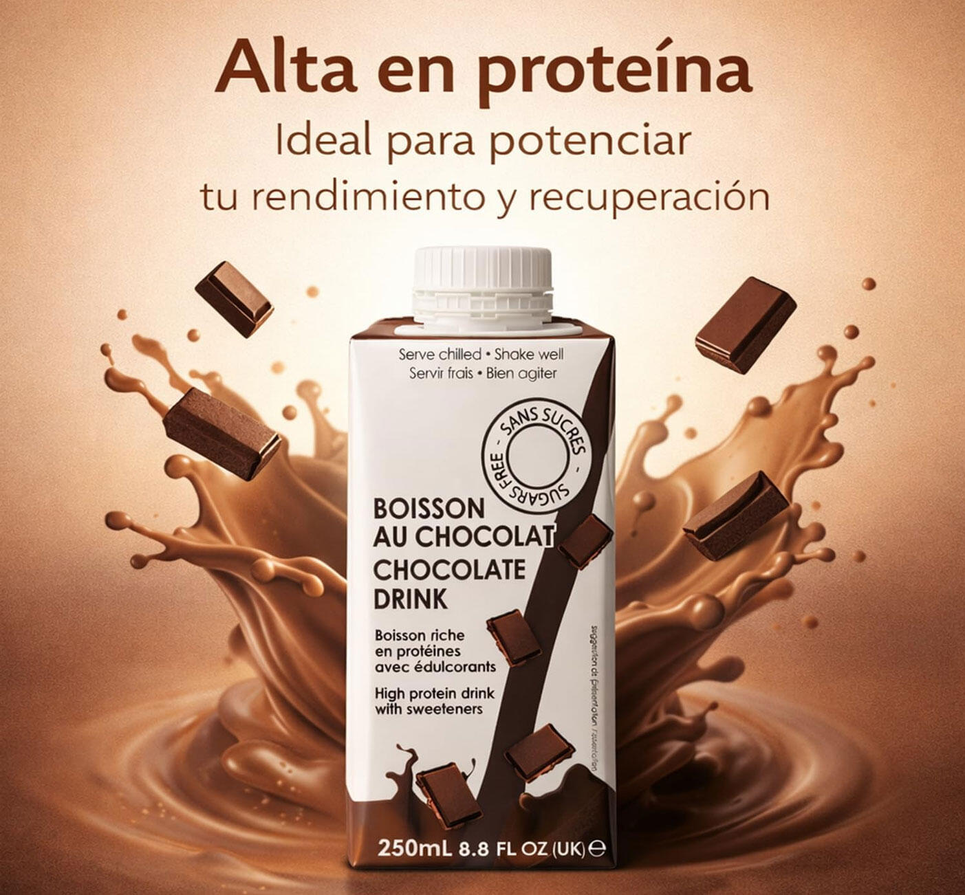 Protein Brick 250 ml de CHOCOLATE Pack 6 unidades 3/5