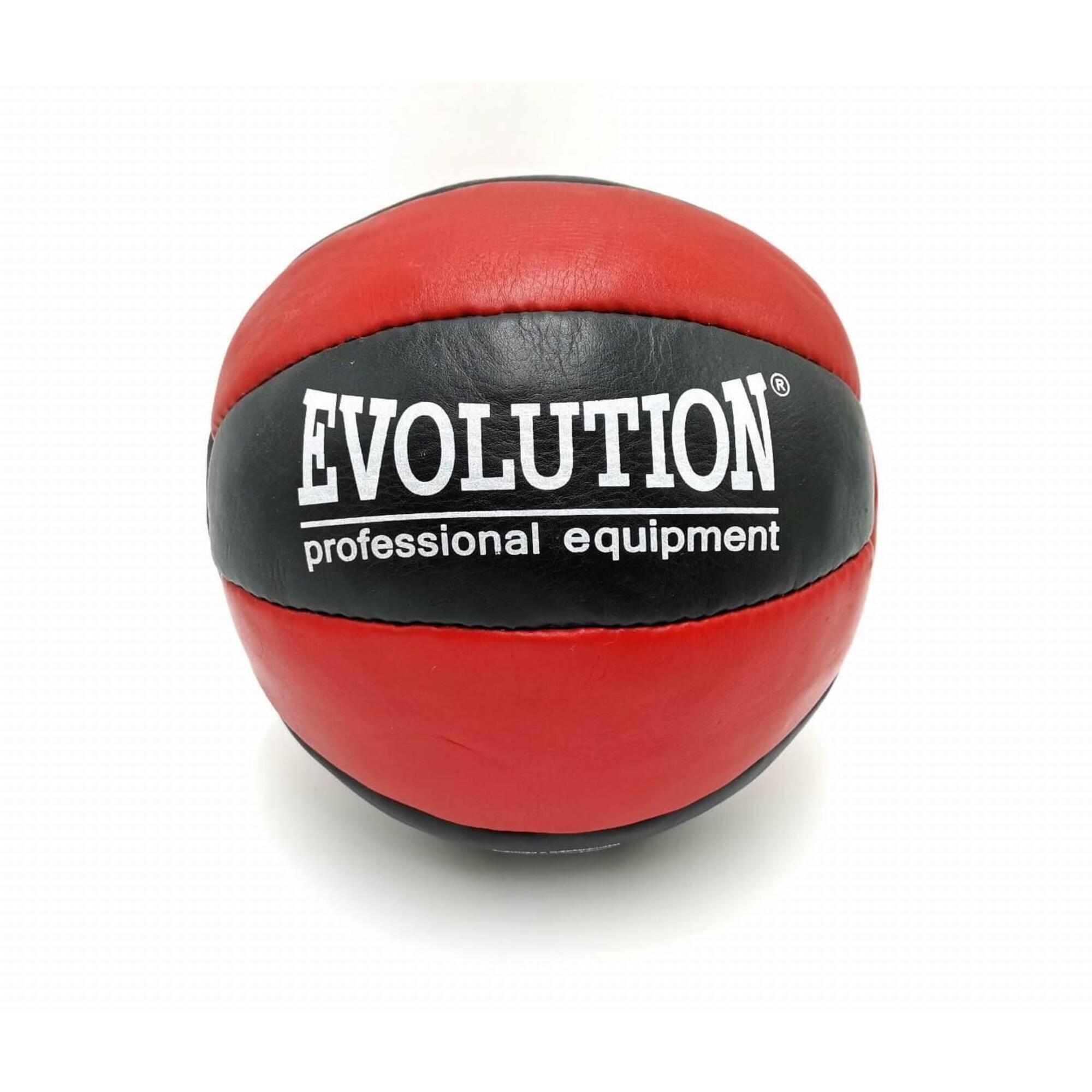 EVOLUTION PROFESSIONAL EQUIPMENT picture