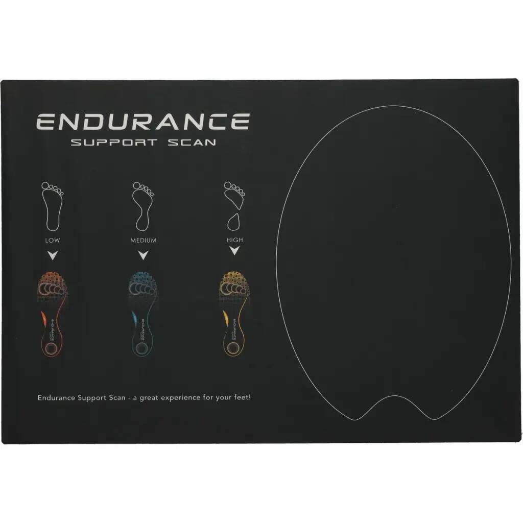 ENDURANCE picture