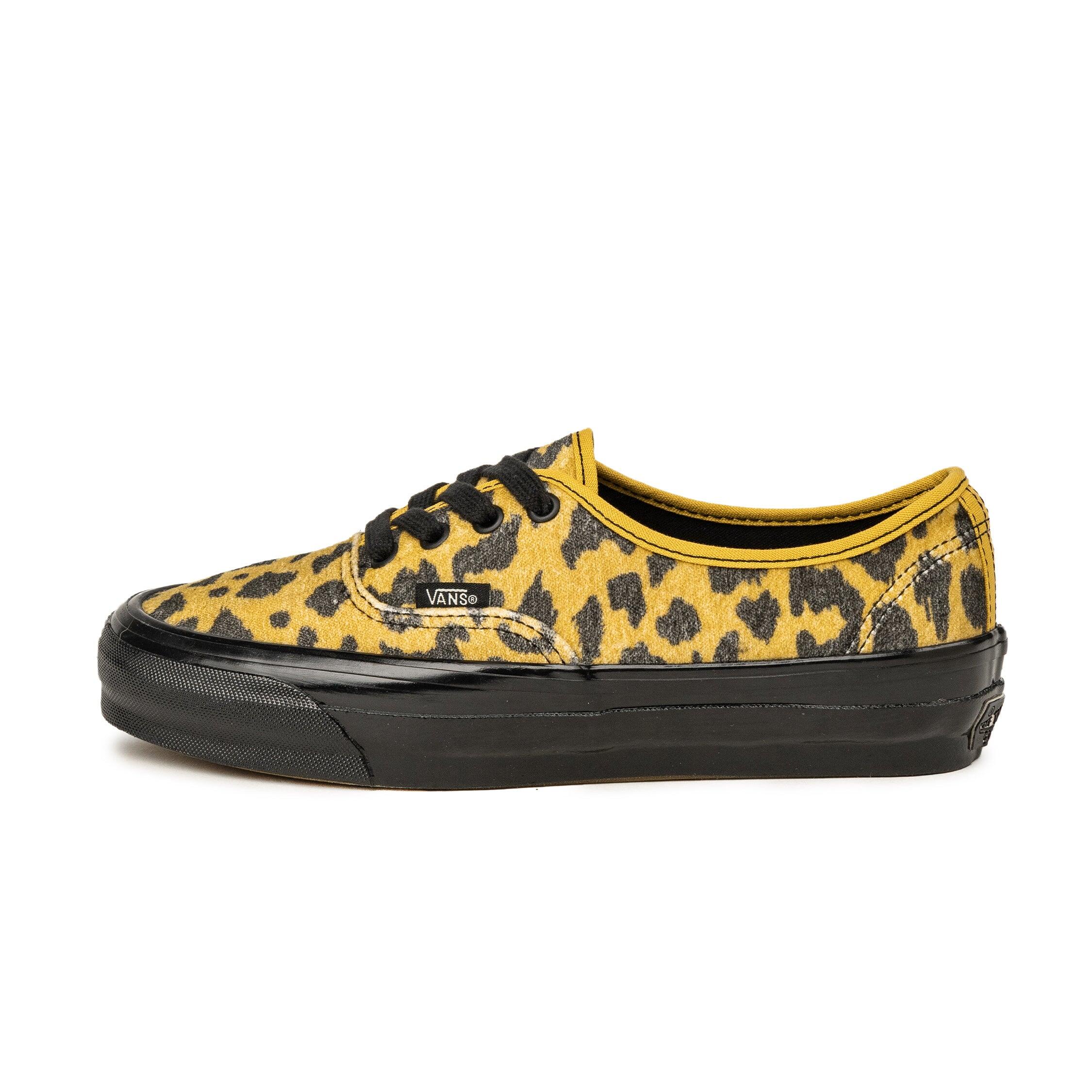 VANS picture