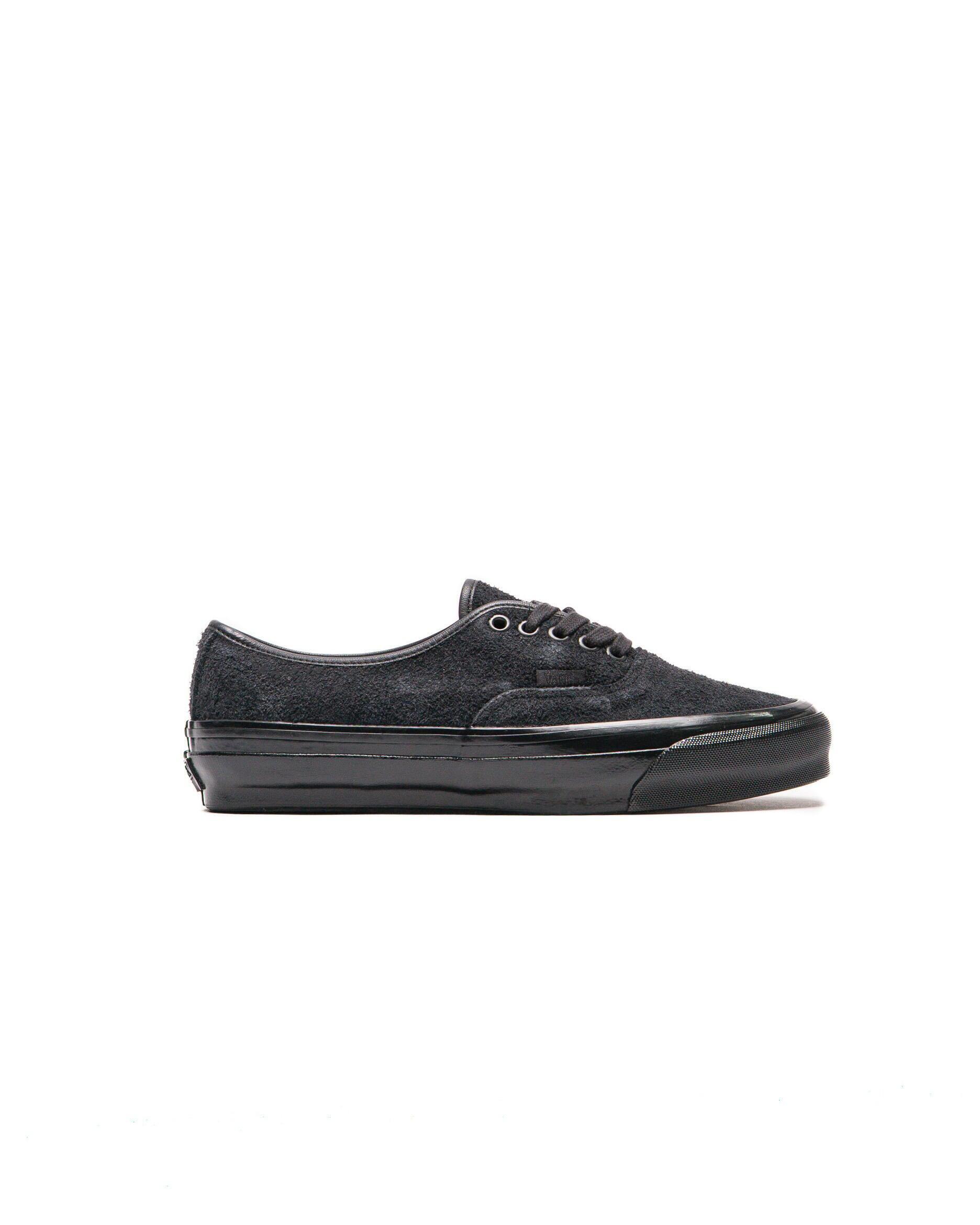VANS picture