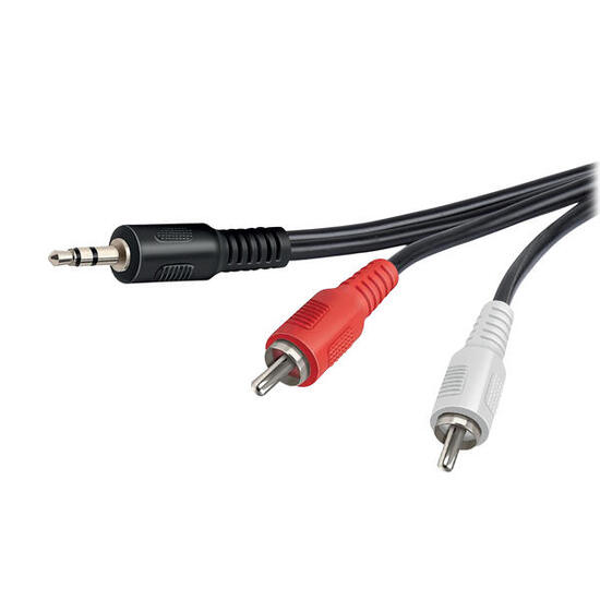 Cavo audio Jack 35 mm a 2 RCA maschio