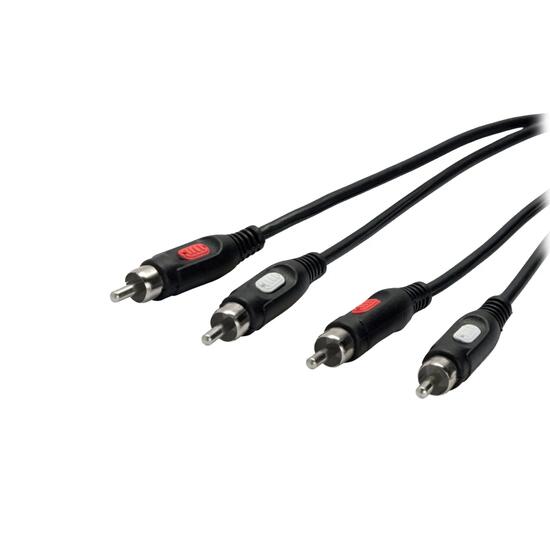 Cavo audio da 2 RCA maschio a 2 RCA maschio