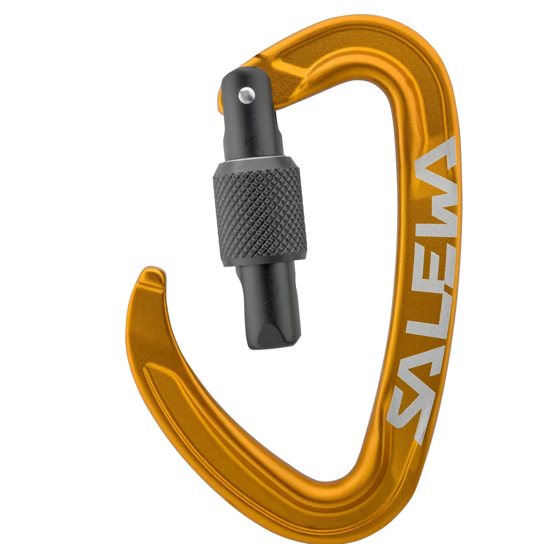 Carabiner Salewa Ortles Screw 2/4
