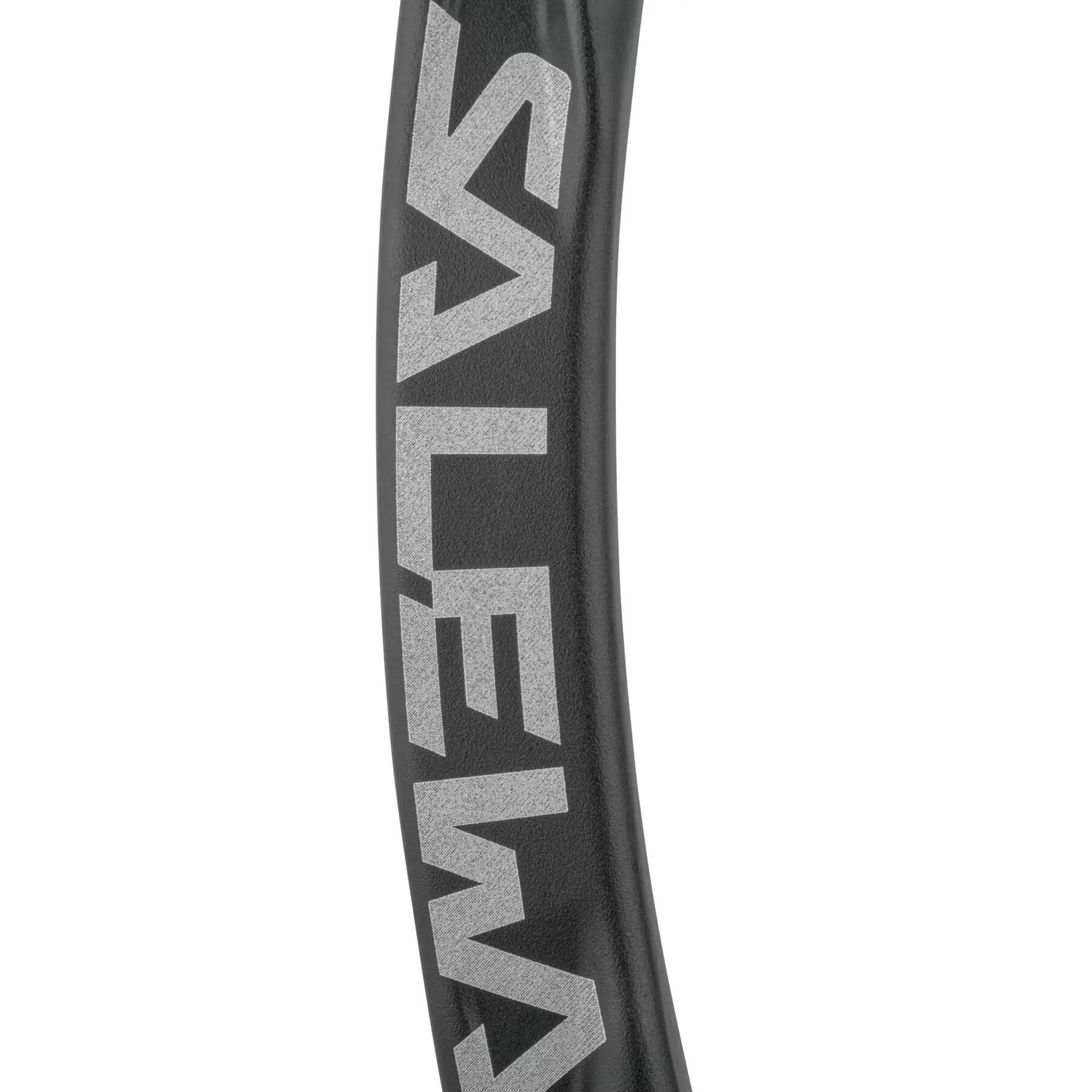 Mousqueton Salewa Ortles Straight 4/4