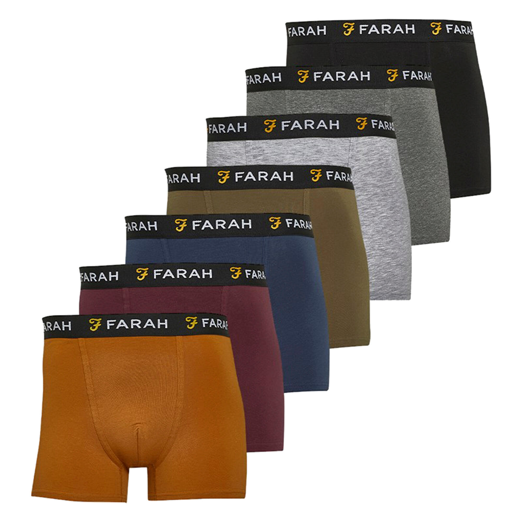 FARAH picture