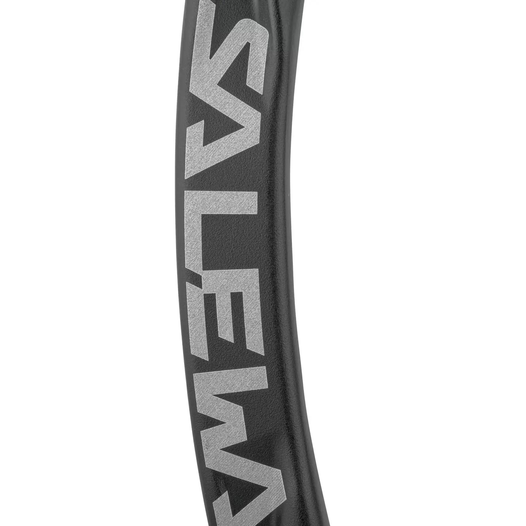 Mousqueton coudé Salewa Ortles 4/4