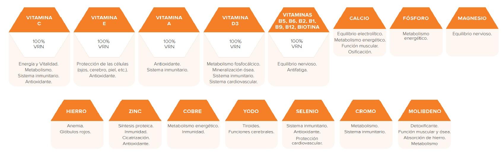 Vitamines et Minéraux 30 Gélules SportDone 3/3