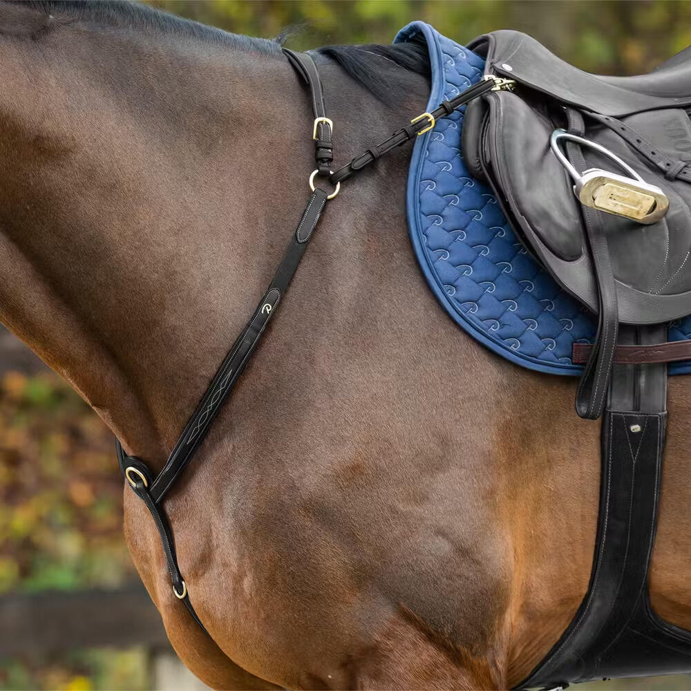 Jachthalsband voor brugpaard Dy'on 2/7