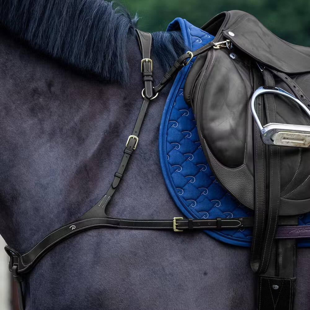 Collar de caza anatómico para caballos Dy'on 2/7