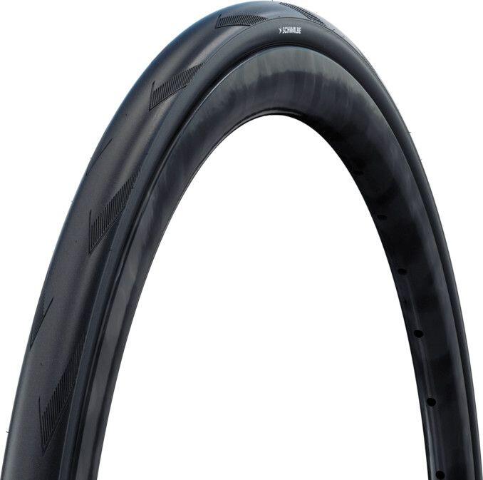 SCHWALBE picture