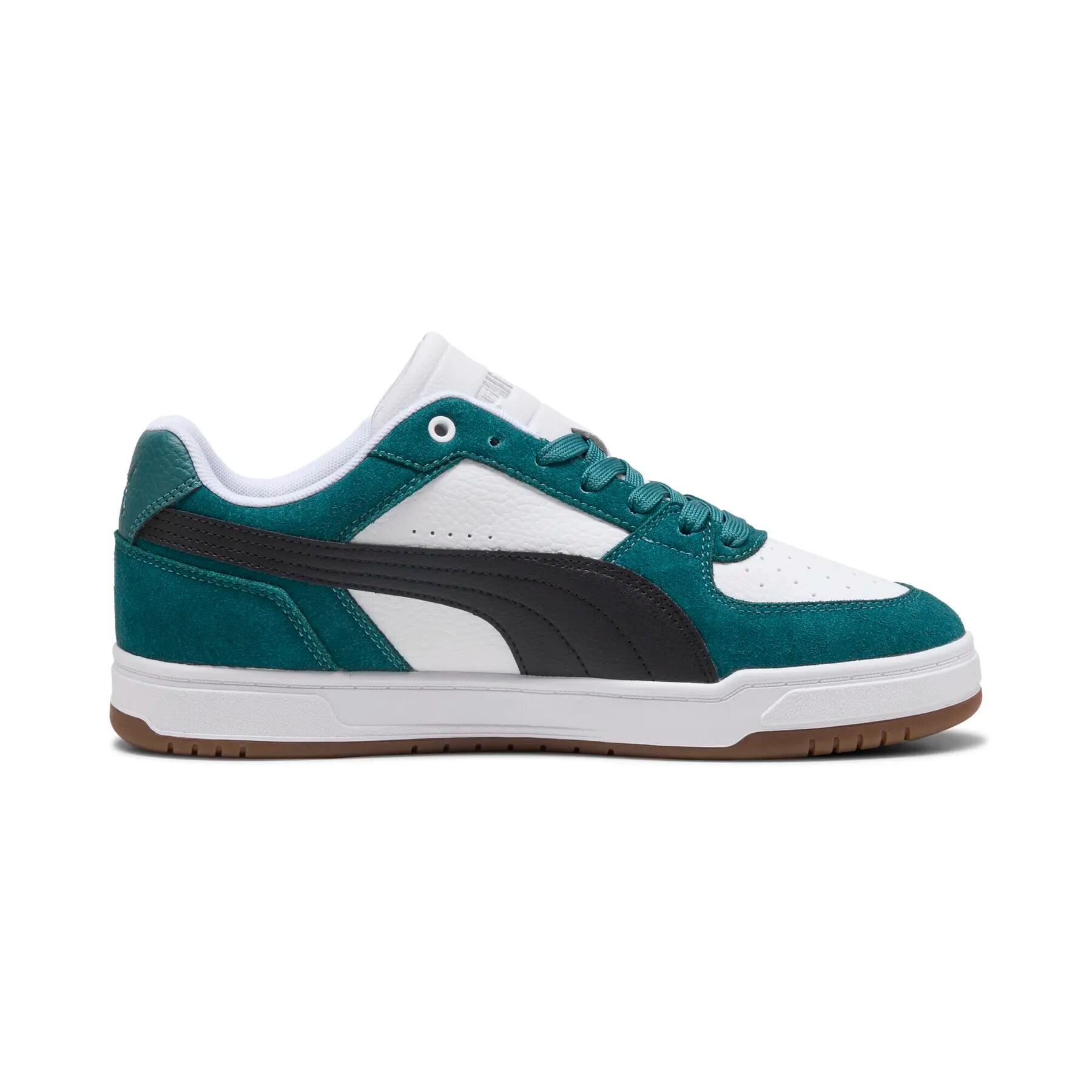 PUMA picture