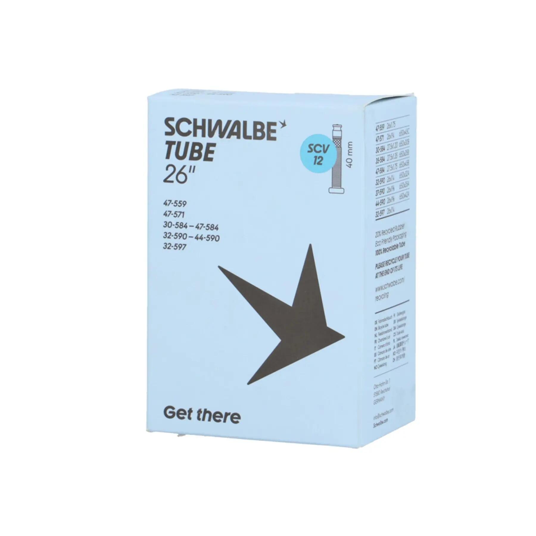 SCHWALBE picture