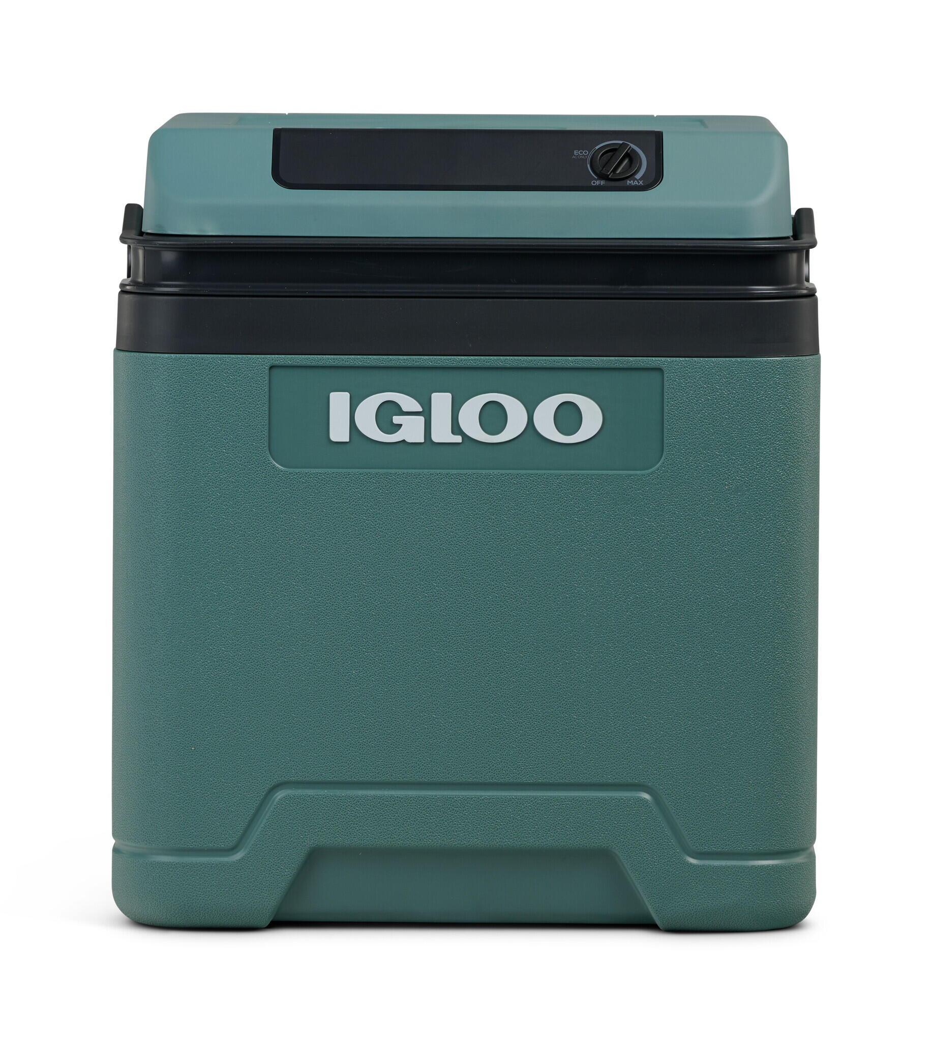 IGLOO picture
