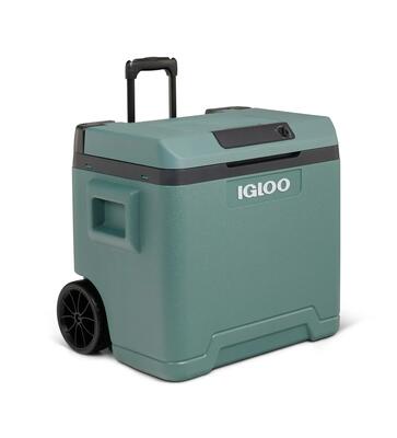 Ie42 ac/dc thermo elektrische koelbox