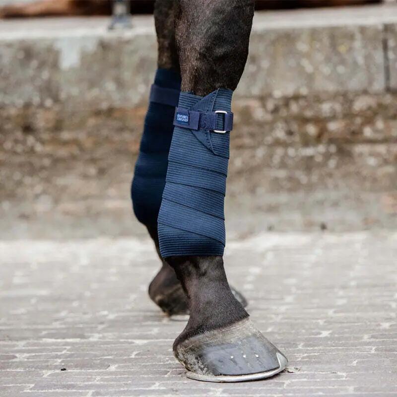 Elastic Polo shirt bands for horses Kentucky 2/3