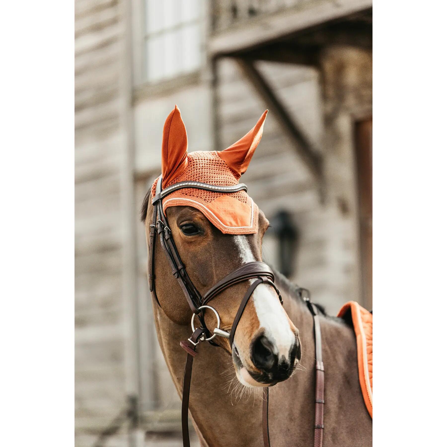 Wellington Oornetje - Velvet - Oranje - Voor Paard 2/5