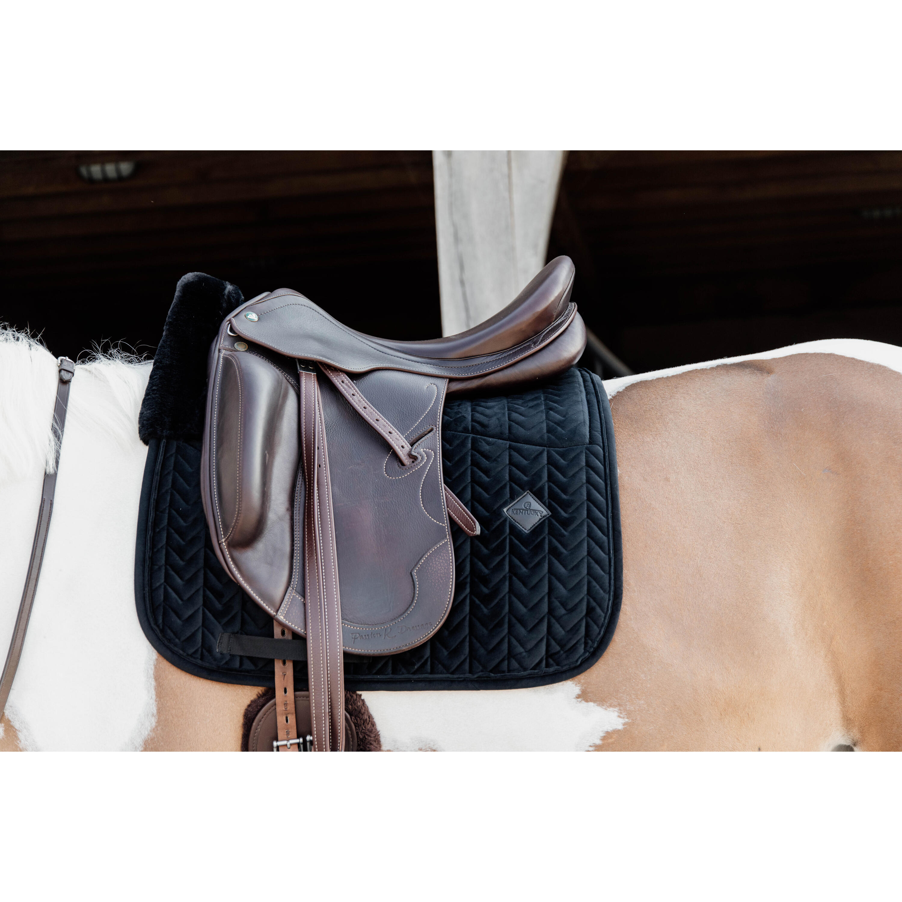 Tapis Skin Friendly velvet dressage noir 2/5