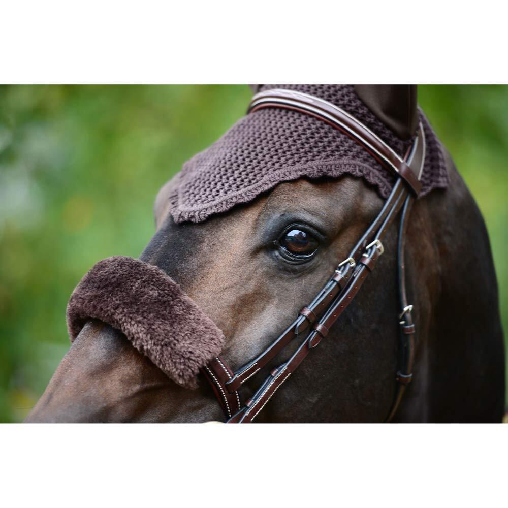 Oornetje Bruin - Voor Paard 2/3