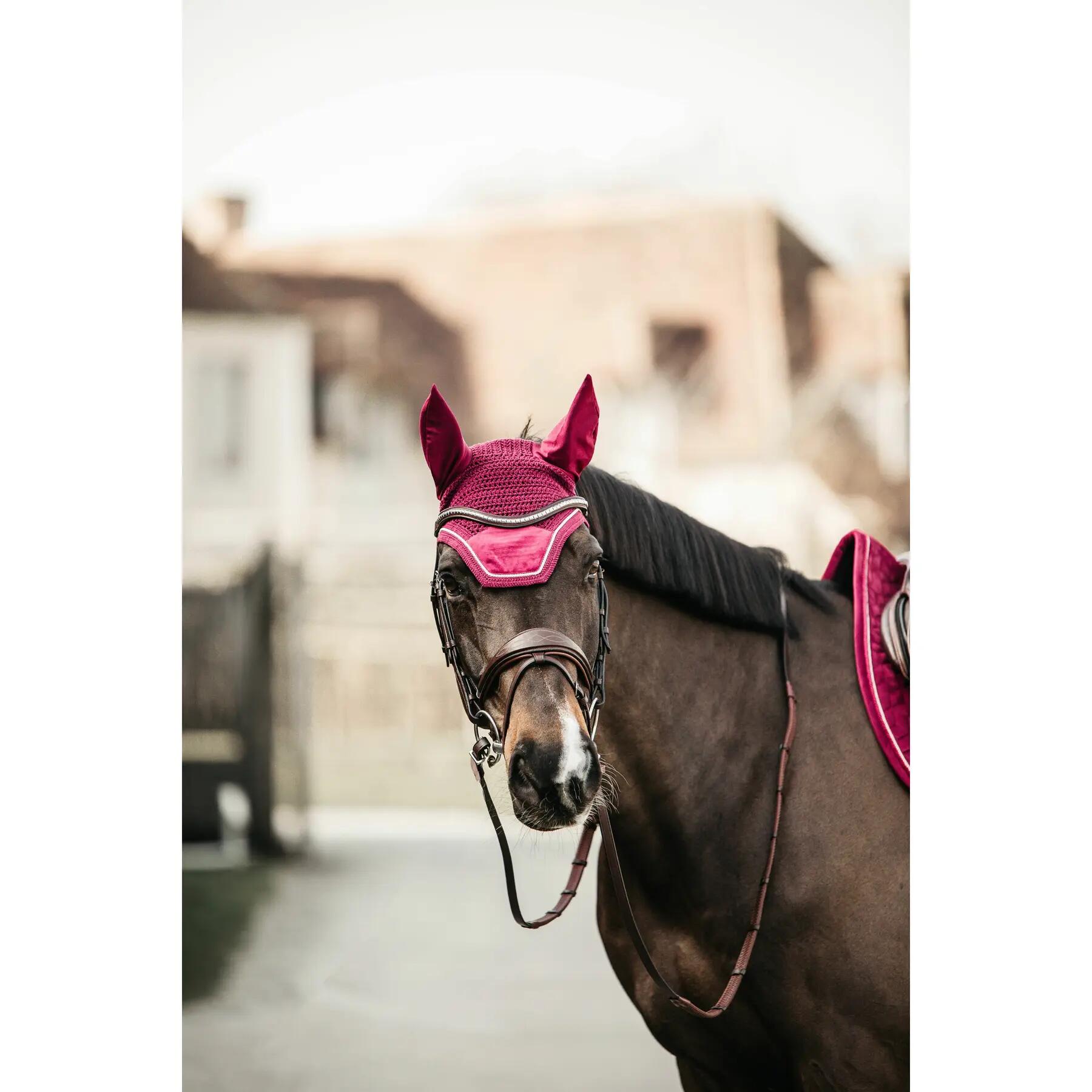 Fliegenhaube Kentucky Wellington Velvet 2/5