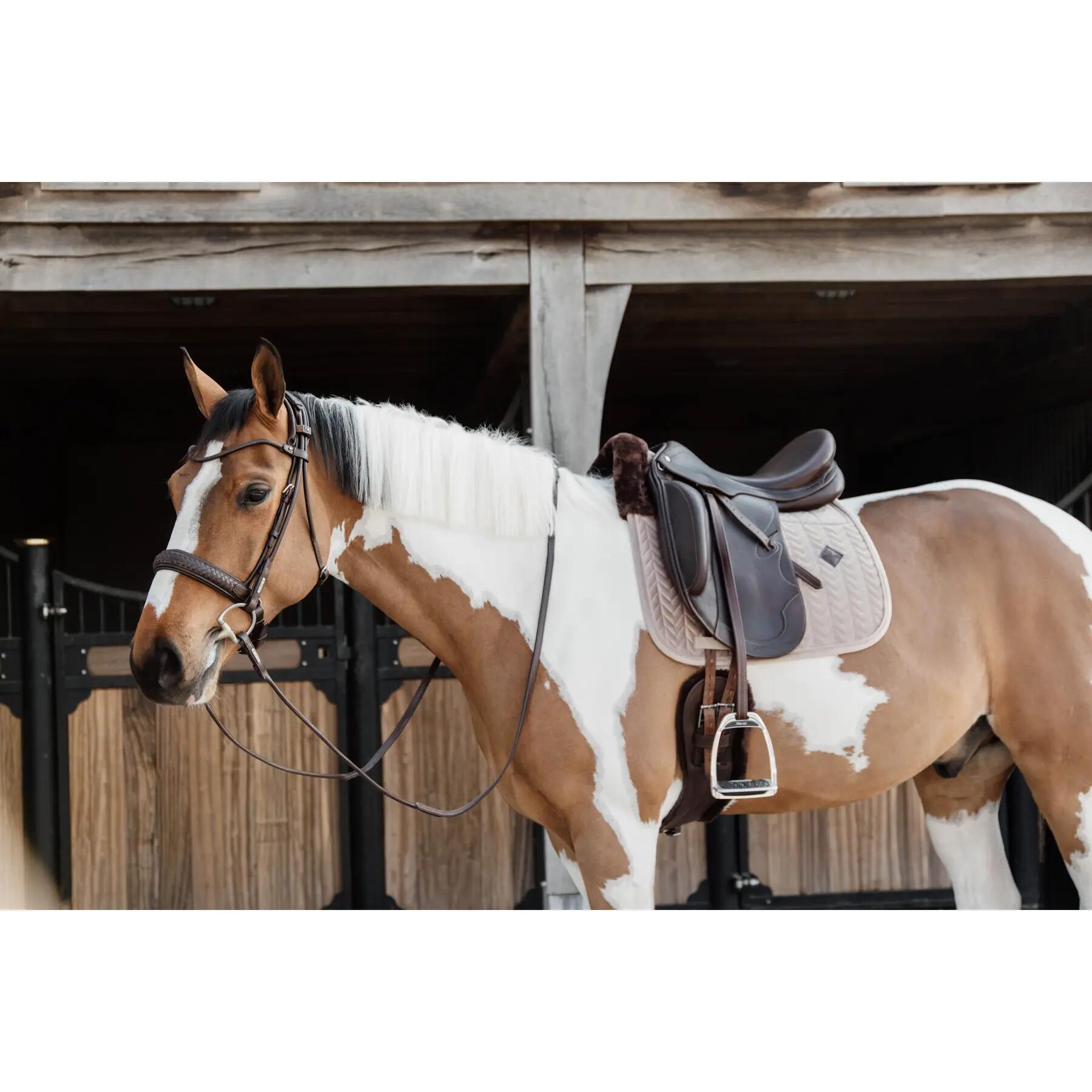 Manta de doma para caballos Kentucky Skin Friendly velvet 6/6