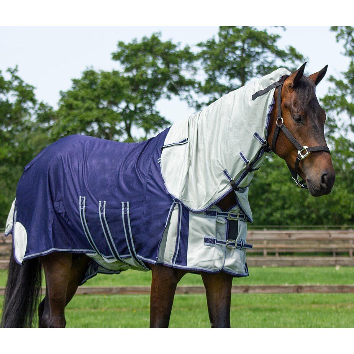 Couverture anti mouche avec couvre-cou et bonnet pour cheval QHP 3/4