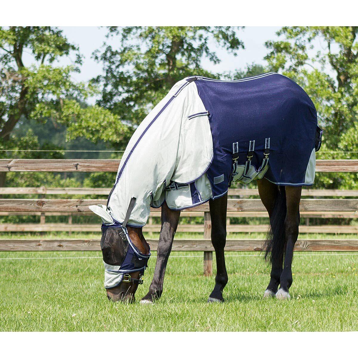 Couverture anti mouche avec couvre-cou et bonnet pour cheval QHP 2/4