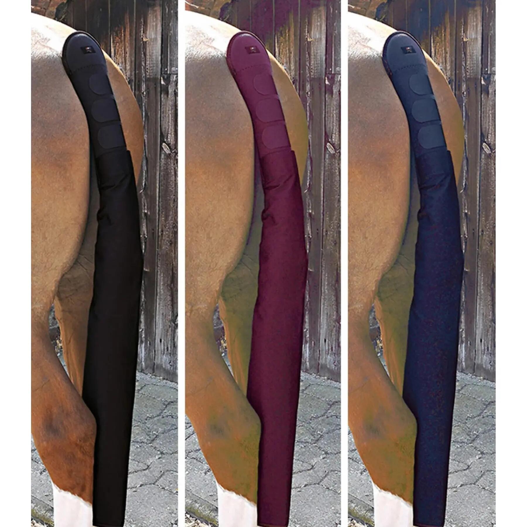 PREMIER EQUINE picture