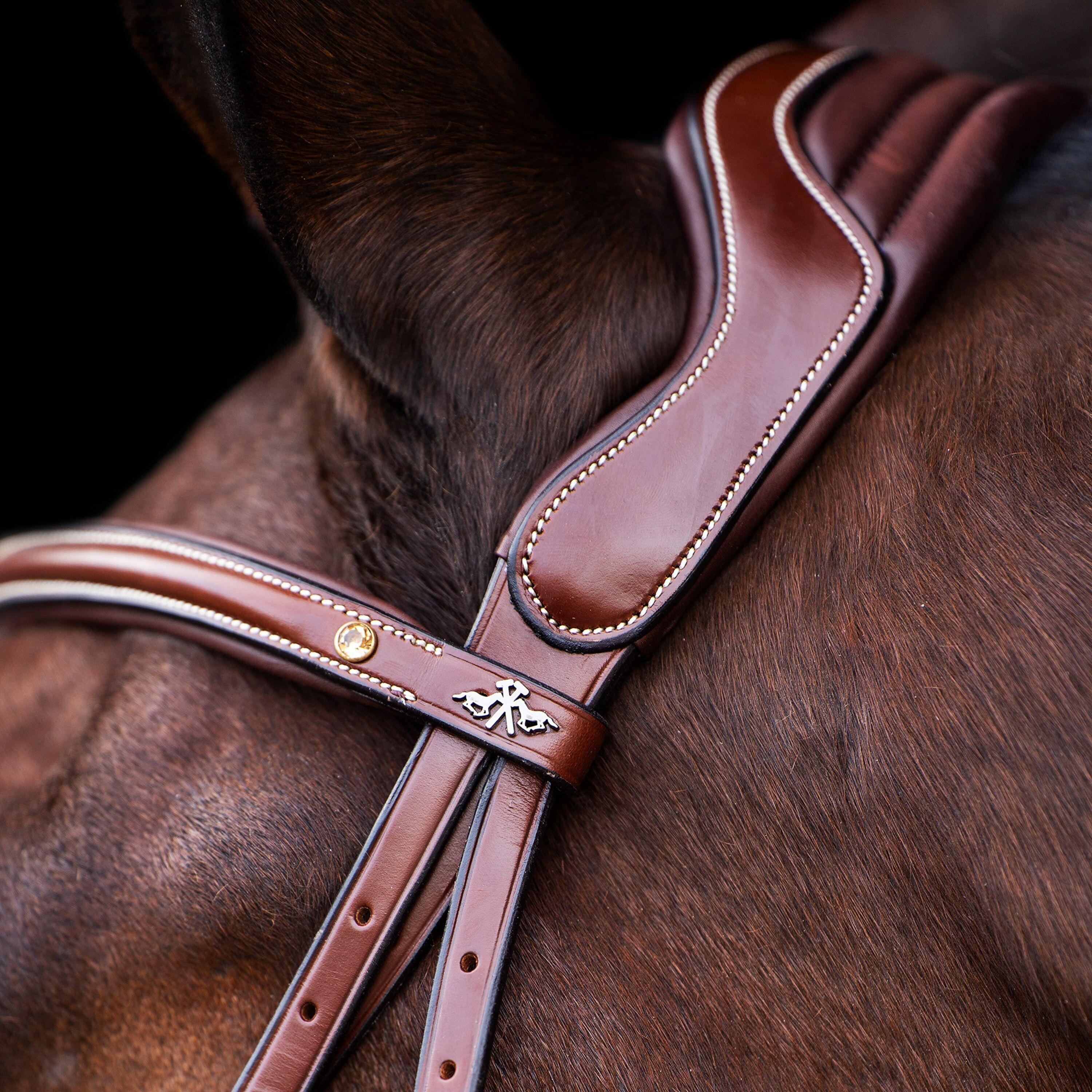 Briglia combinata da equitazione con nasello HV Polo Legacy 3/4
