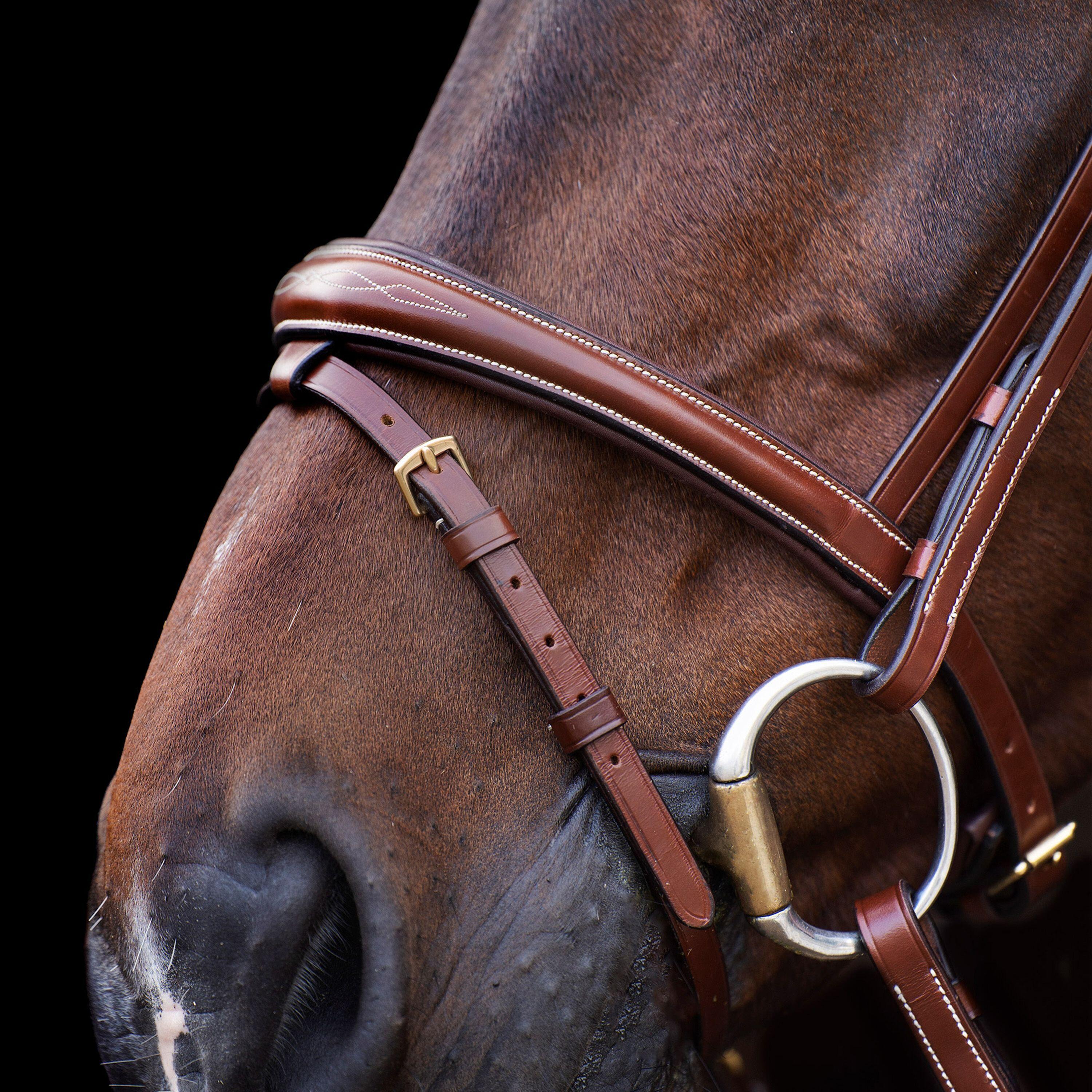 Briglia combinata da equitazione con nasello HV Polo Legacy 2/4
